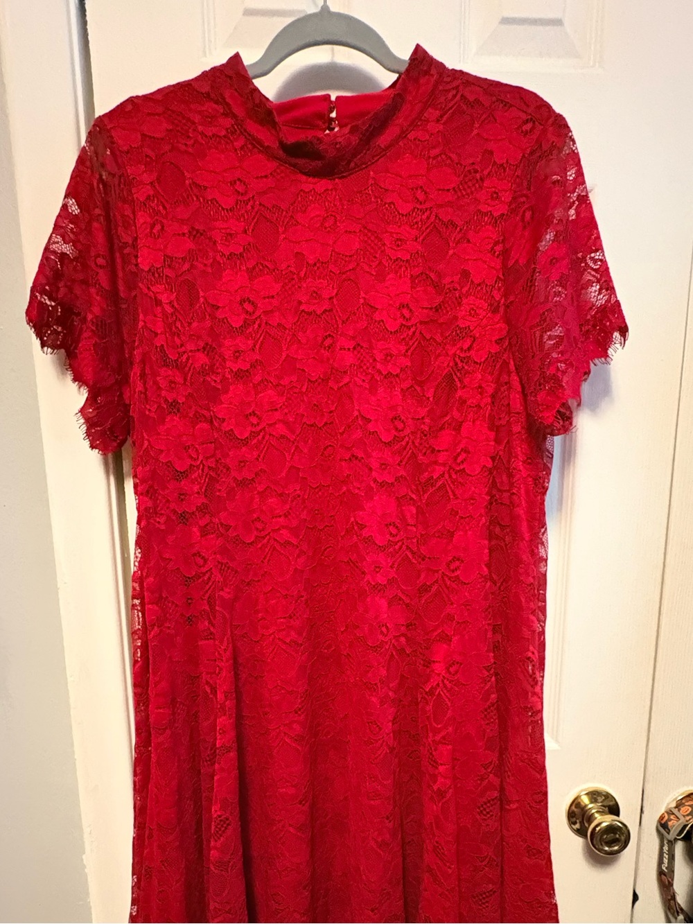 torrid Red Floral Lace Fit-and-Flare Dress